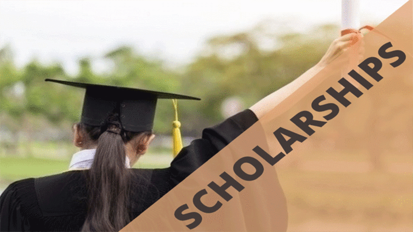 Social Work Scholarships for Undergraduate and Graduate Students: Empowering Change